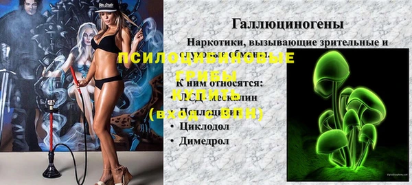 ешки Билибино