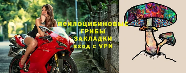 ГАЛЛЮЦИНОГЕННЫЕ ГРИБЫ Краснотурьинск