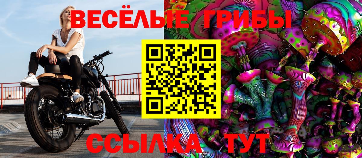 Галлюциногенные грибы ЛСД Красноармейск